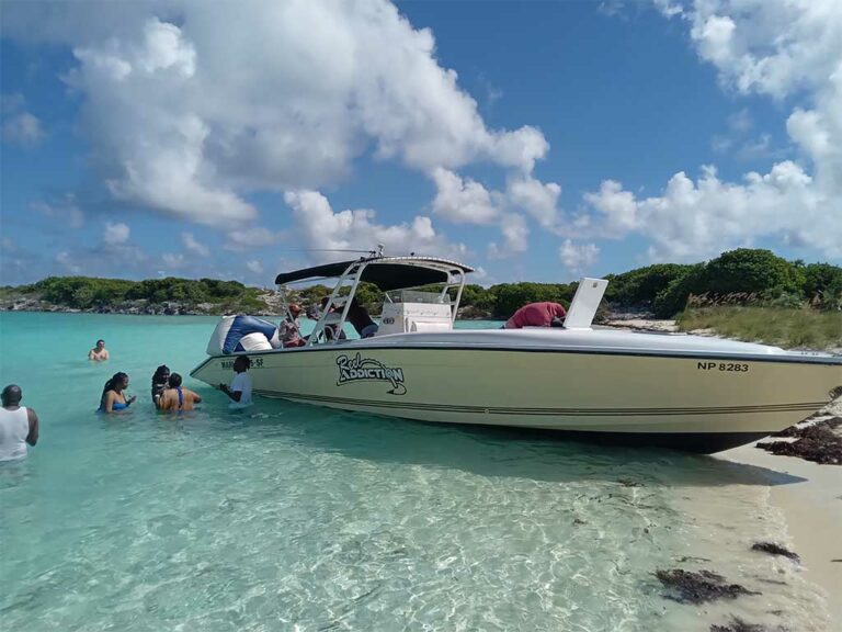 bahama-voyages-marlin1